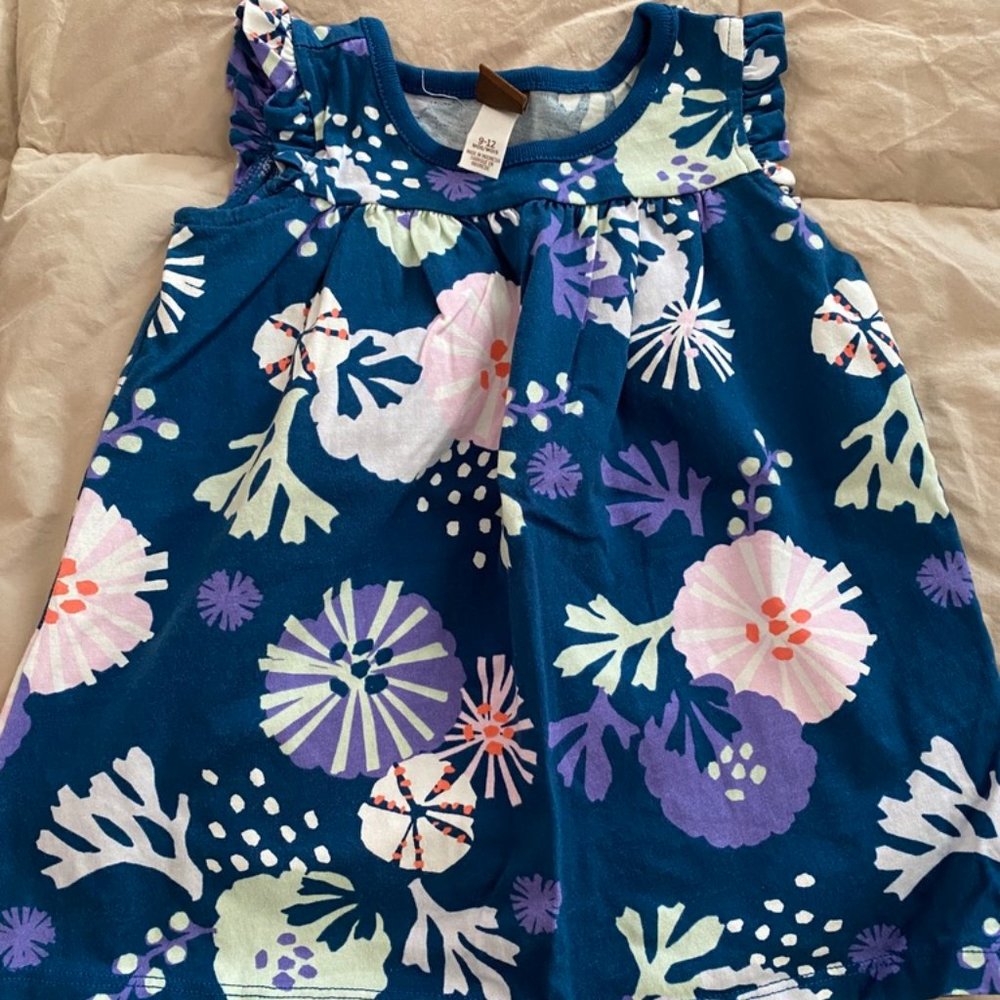 Tea Collection Swing Dress (9 - 12 months)